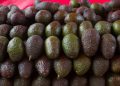 Kilo de Aguacate alcanza los 80 pesos