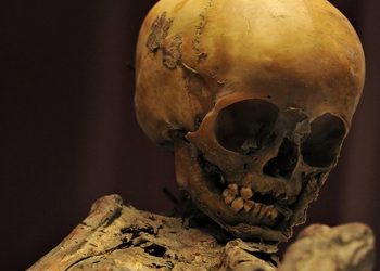 La momia bebé “Pepita” será estudiada nuevamente