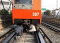Dos perritos fueron rescatados de las vías del Metro