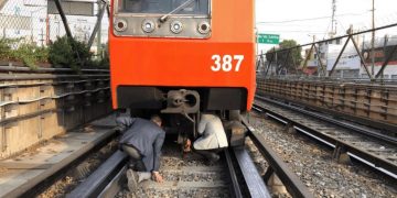 Dos perritos fueron rescatados de las vías del Metro