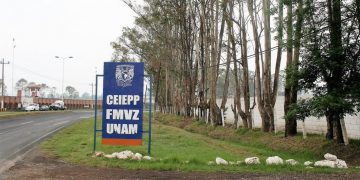 Hombres armados ingresaron a la UNAM y asaltaron a estudiantes