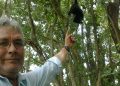 México es un gran riesgo para los ambientalistas