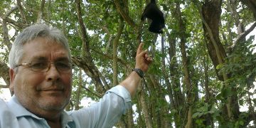 México es un gran riesgo para los ambientalistas