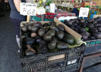 El precio del aguacate subió: hasta 80 pesos el kilo