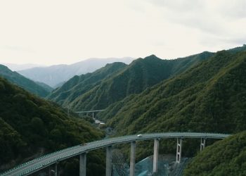 Sin cortar árboles, China construye autopista