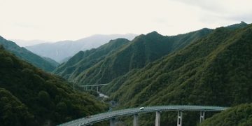 Sin cortar árboles, China construye autopista