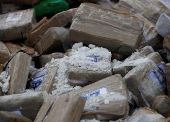 La producción mundial de cocaína marcó récord mundial en 2017: ONU