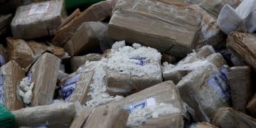 La producción mundial de cocaína marcó récord mundial en 2017: ONU