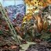 La industria de la moda es una de las más dañinas para el medio ambiente: ONU