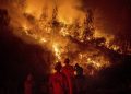 Hombre que trató eliminar un nido de avispas, inició el incendio más grande en la historia de California