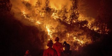 Hombre que trató eliminar un nido de avispas, inició el incendio más grande en la historia de California
