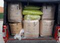 Interpol realiza operación contra tráfico de alimentos potencialmente peligrosos: 672 detenidos
