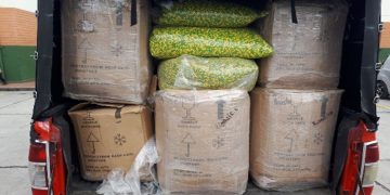 Interpol realiza operación contra tráfico de alimentos potencialmente peligrosos: 672 detenidos