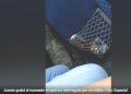 Por tomar fotos en un retén migratorio, amenazan a activistas por policías y militares