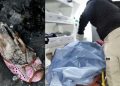 Murió mujer en Tlaxcala. Sus amigos le prendieron fuego en una fiesta