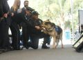 28 oficiales caninos de la PF fueron jubilados con ceremonia