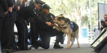 28 oficiales caninos de la PF fueron jubilados con ceremonia
