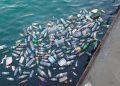 Ruanda aprobó ley que prohibe los plásticos de un solo uso