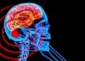 Exposición a campos electromagnéticos causan daños en la salud