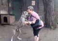 Llevaba años buscando a su perrito; mira el reencuentro