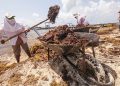 Se llevará a cabo el Encuentro contra el Sargazo con la presencia de 13 países