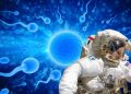 Viable la colonización de otros planetas con bancos de espermas