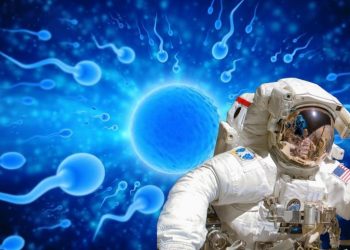 Viable la colonización de otros planetas con bancos de espermas
