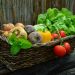 Alimentos antiestrés