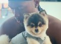 Ex futbolista del Liverpool ofrece recompensa de más de 37.000 dólares por su perro