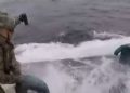 #VIDEO Detienen un narcosubmarino con 232 mdd en cocaína