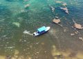 El mayor “cinturón de sargazo” del mundo está en el Golfo de México