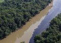 Mueren ahogados en whisky miles de peces después de que el contenido de 45.000 barriles fueran destruidos por una explosión