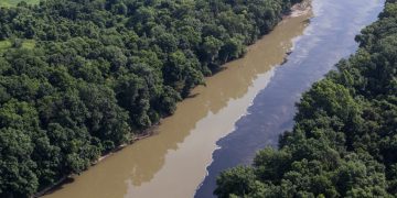 Mueren ahogados en whisky miles de peces después de que el contenido de 45.000 barriles fueran destruidos por una explosión