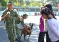 SEDENA invita a familias potosinas al paseo dominical
