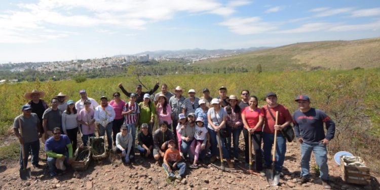 Inician programas nacionales de reforestación 2019