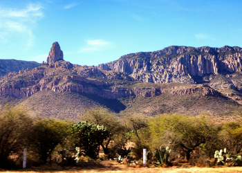 UNAM realizaría estudio para protección de la Sierra de San Miguelito