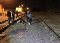 Migrante pretende abordar el tren, cae y pierde el pie