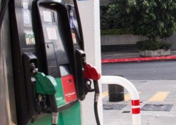 174 denuncias recibidas por la app Litro X Litro