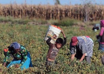 Presentación de libro y conversatorio acerca de personas que trabajan como jornaleros agrícolas y sus  derechos humanos