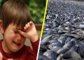 En peligro de extinción, un tercio de peces mexicanos