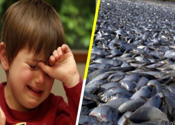 En peligro de extinción, un tercio de peces mexicanos