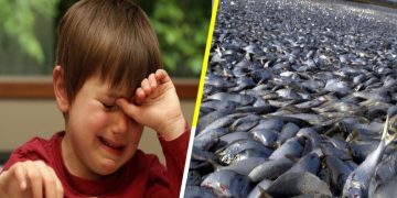 En peligro de extinción, un tercio de peces mexicanos