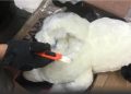 Hallan muñecos de peluche con droga en CDMX