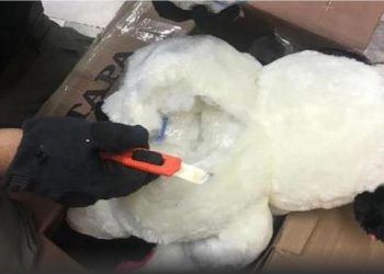 Hallan muñecos de peluche con droga en CDMX