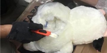 Hallan muñecos de peluche con droga en CDMX