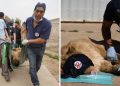Un veterinario rescata animales en zonas de guerra, no tiene miedo a las balas