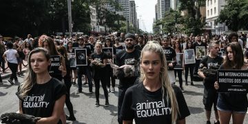 Animales y palabras: reforzando una conceptualización basada en prejuicios