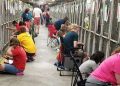 En EE.UU. prefieren consolar perros en refugios que celebrar el 4 de julio