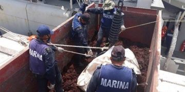 En solo 3 meses, la Marina retira 38 mil 892 toneladas de sargazo
