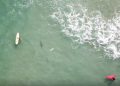 #VIDEO Un dron capta a un tiburón a metros de unos niños en playa de Australia